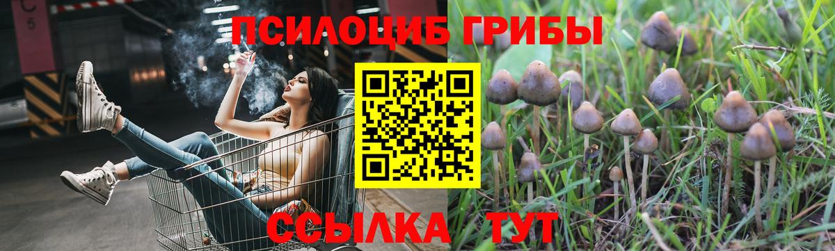 Псилоцибиновые грибы GOLDEN TEACHER Ростов Великий